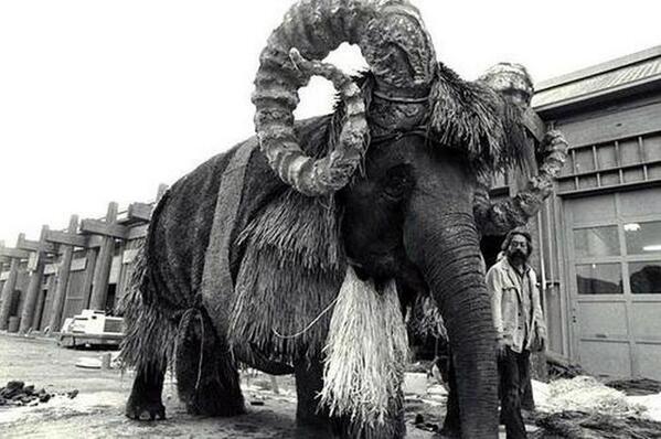 10-bantha-elephant
